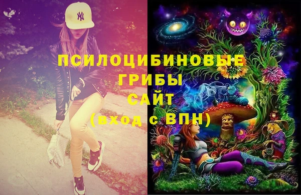 МДПВ Богданович