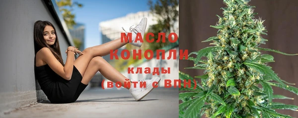 дмт Богородицк